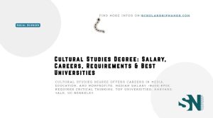 Cultural Studies